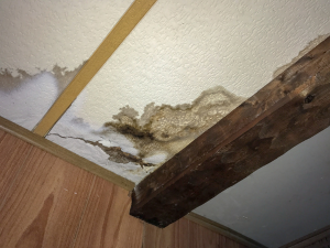Water stains on a ceiling, a sign of roof damage and a reason to contact an Ankeny roofer for repair.