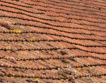Signs of roof damage in Newton