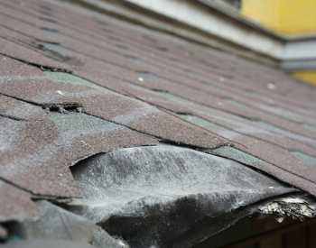 missing and damaged shingles on a roof in Newton, Iowa