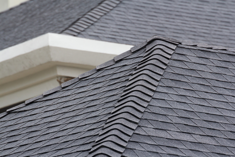Roof maintenance tips from West Des Moines best roofer