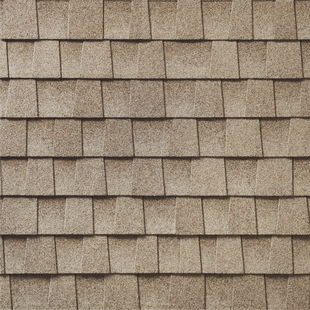 Action Roofing & Construction Images
