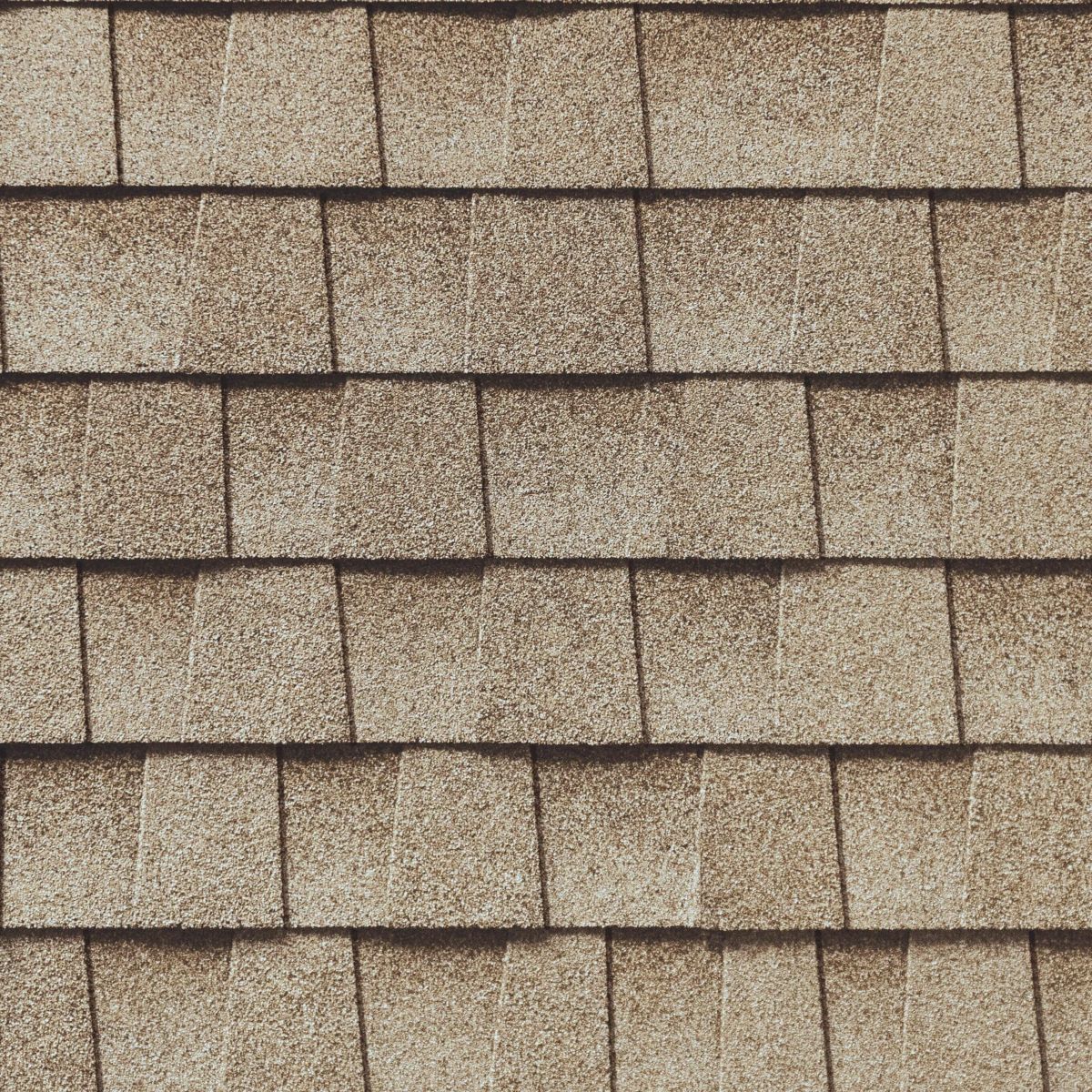 Action Roofing & Construction Images