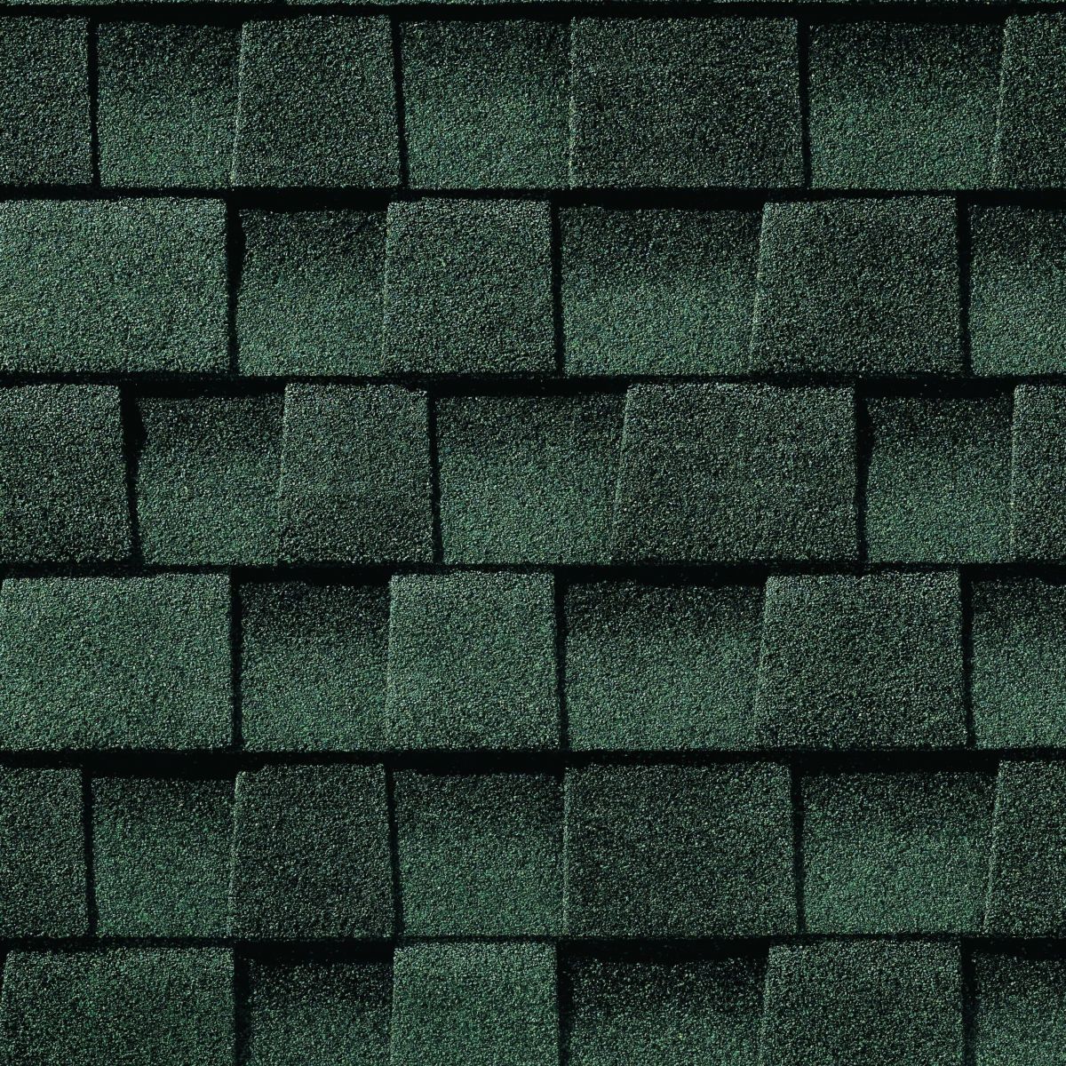 Action Roofing & Construction Images