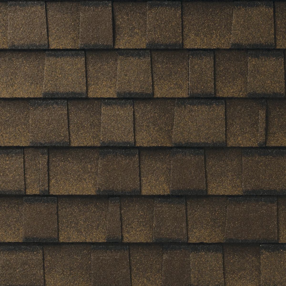 Action Roofing & Construction Images
