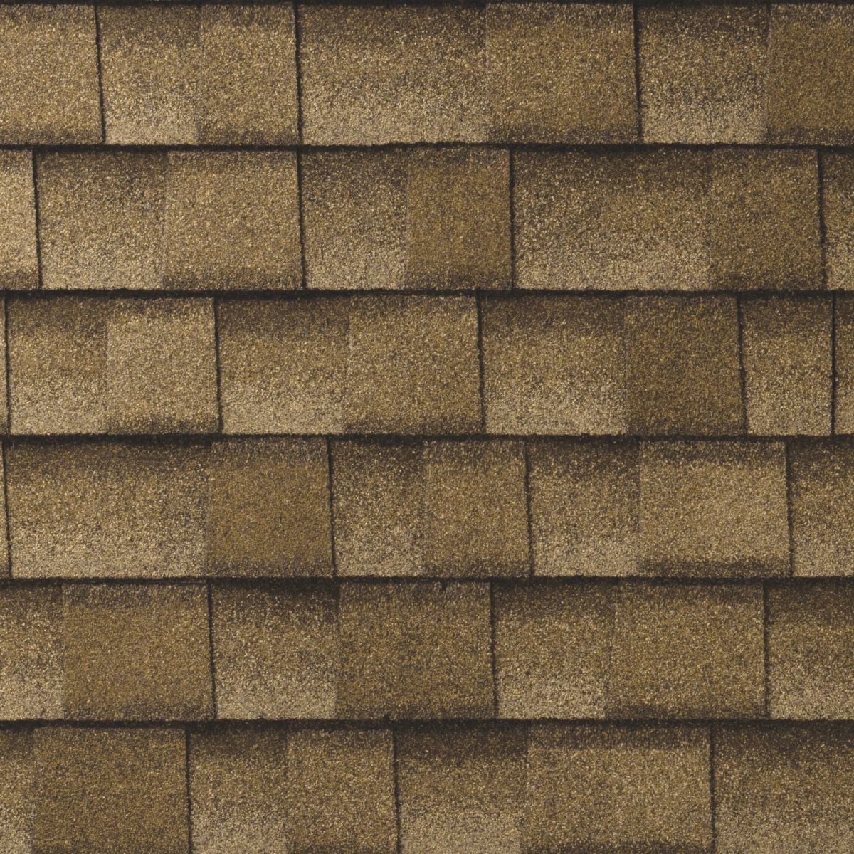 Action Roofing & Construction Images