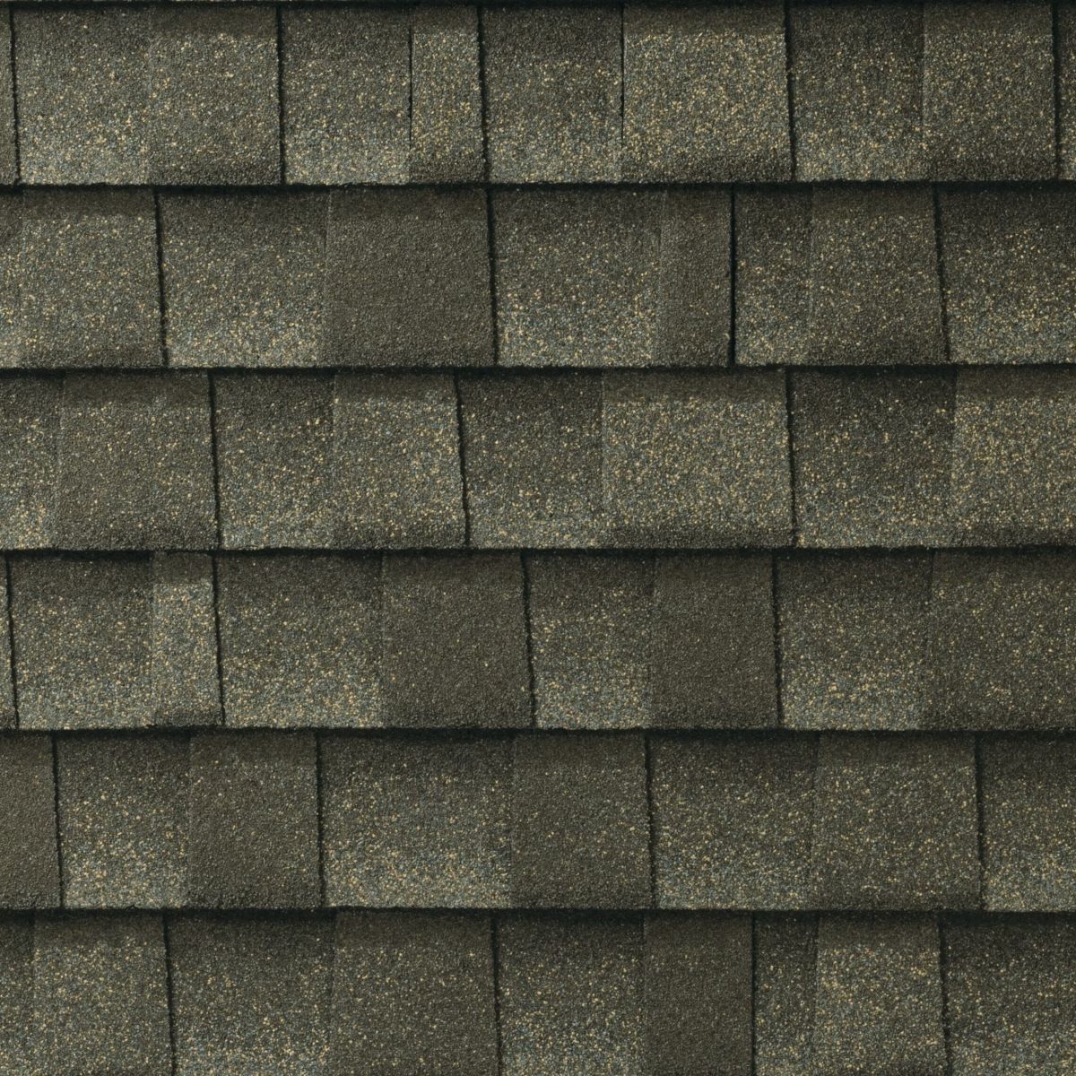 Action Roofing & Construction Images