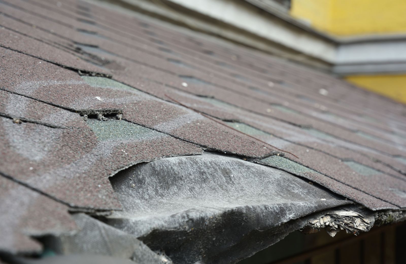Action Roofing & Construction Images