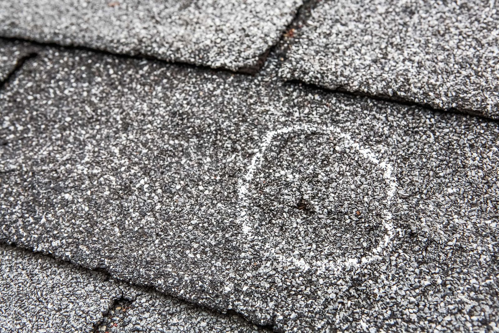 Action Roofing & Construction Images