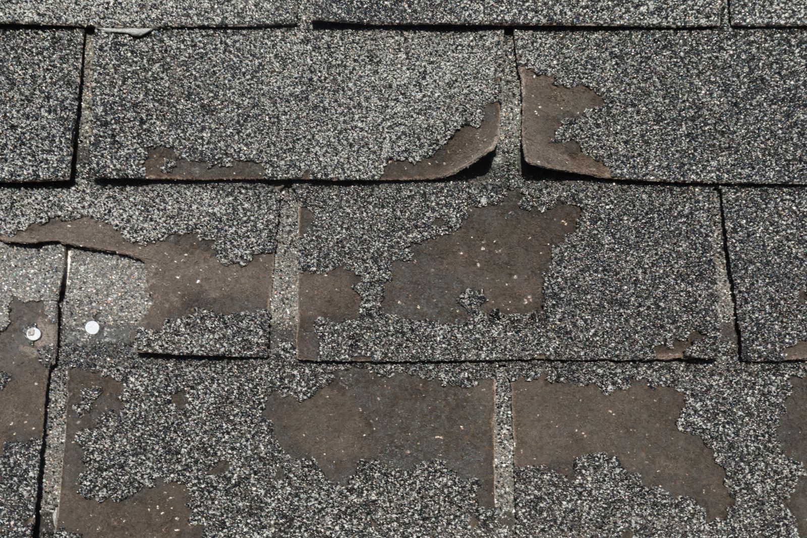 Action Roofing & Construction Images